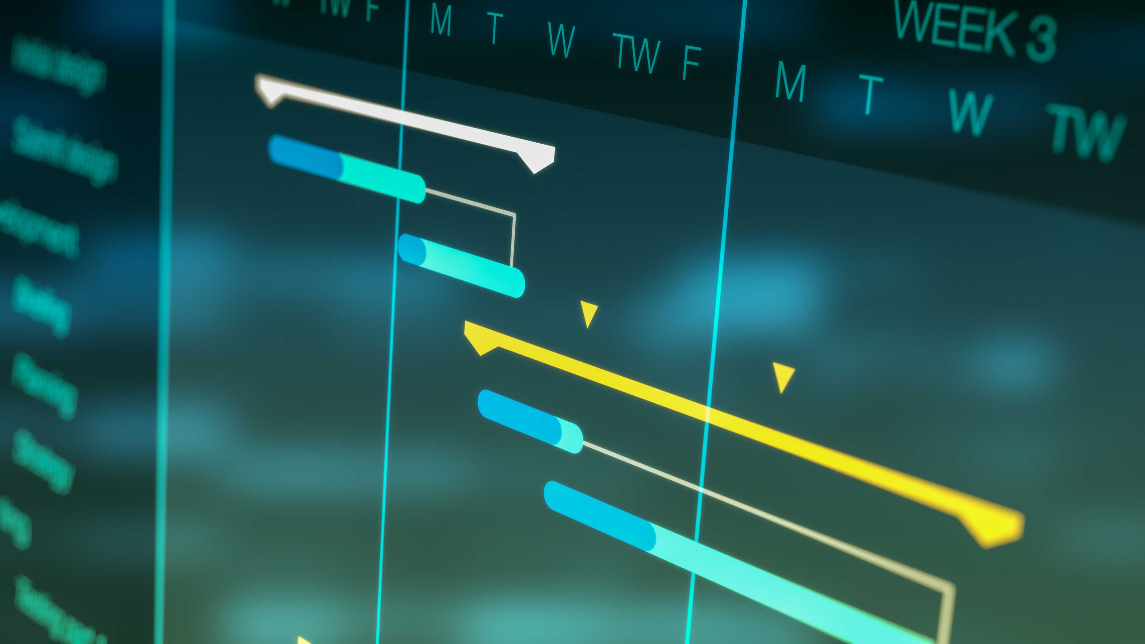 Management Management